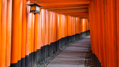 Why does this street in Japan look like an endless tunnel of red gates: The fascinating story behind thousands of vermilion ‘torii’