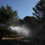More than 1,200 hectares of land burnt! Firefighters battle southern France wildfires after deadly heatwave