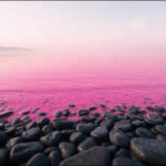 <b>In 2023, scientists turned part of San Diego's ocean bright pink to see how river water reaches the sea</b>