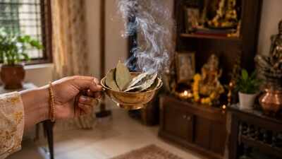 Bay leaves for energy healing: Transform your home with bay leaves: Traditional rituals claim to cleanse negativity and invite harmony