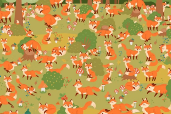 Optical illusion brain teaser: You might be a record breaker if you spot the 'blue-eyed fox' among the browns in this jungle