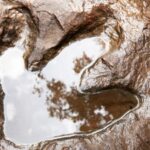 Photographer accidentally discovers thousands of 200 million-year-old dinosaur footprints hidden in plain sight on a mountain that turned from an ancient sea