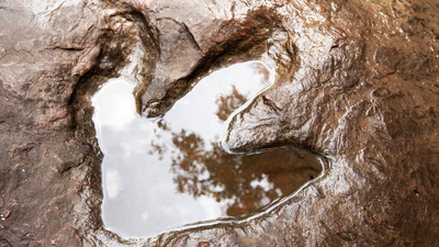 Photographer accidentally discovers thousands of 200 million-year-old dinosaur footprints hidden in plain sight on a mountain that turned from an ancient sea