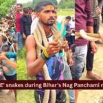 Hundreds carry ‘LIVE’ snakes during Bihar's Nag Panchami mela; the fascinating history behind Samastipur's centuries-old serpent festival
