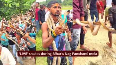 Hundreds carry ‘LIVE’ snakes during Bihar's Nag Panchami mela; the fascinating history behind Samastipur's centuries-old serpent festival