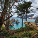 Hawaii has remained snake-free for millions of years, and the reason lies in how the islands were born
