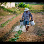 UPSC topic: India's agricultural calendar divided by kharif, rabi and zaid seasons