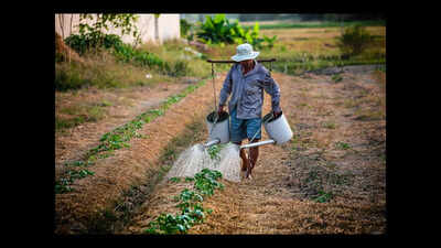 UPSC topic: India's agricultural calendar divided by kharif, rabi and zaid seasons