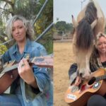 Los Angeles singer taught her rescue horse to play the guitar and harp, and now they are releasing an album together