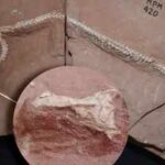<b>80-million-year-old snake skull discovery in Brazil proves that ancient snakes conquered the three worlds at once</b>