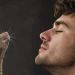 <b>Scientists discover humans and mice may use the same hidden brain system to recognise smells</b>