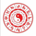 Horoscope Today, August 07, 2026: These Chinese Zodiac Signs May Get Good News; Three Need Extra Caution