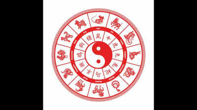 Horoscope Today, August 07, 2026: These Chinese Zodiac Signs May Get Good News; Three Need Extra Caution