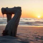 Horoscope Today (Birth Date 7), August 10, 2026: Break free from old habits! How birth dates 7, 16, & 25 can adopt better methods for technical & health success