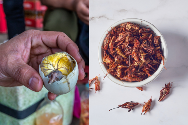 9 strangest street foods from around the world that locals swear by
