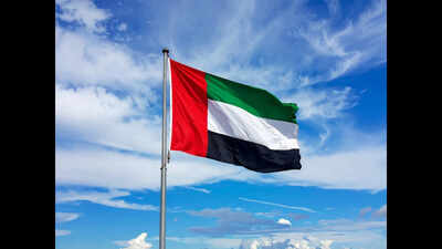 Indians can get UAE visa free for 3 months: Check eligibility, rules and booking process
