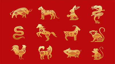 Daily Horoscope, August 11, 2026: Three Chinese Zodiac Signs May Get Lucky; Three Should Think Before Acting