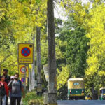 CAG finds 98% shortfall in Green India Mission forest cover targets, red-flags multiple lapses