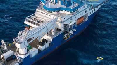 Scientists found 31 new species in the ocean's vast midwater zone, including nine new jellyfish using underwater robots and new imaging technology
