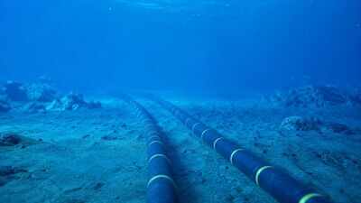Scientists turn undersea internet cables into giant whale detectors that can track even silent whales through tiny changes in water movement