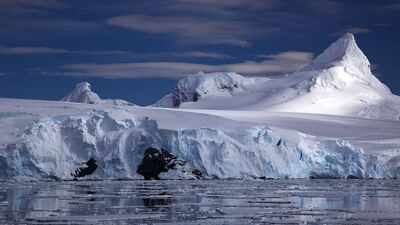Antarctica’s melting glaciers are leaking toxic mercury into the ocean, which could increase toxic metal levels in the marine food chain and humans