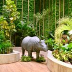 Why Guwahati airport has 1 lakh plants, the idea that turned it into a ‘living forest’