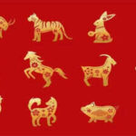 Horoscope Today, August 1, 2026: These Chinese Zodiac Animals Should Stay Alert, These May Get Lucky