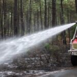 Bordeaux vineyards escaped the immediate wildfires, but repeated heatwaves and nearly two months without sufficient rain are shrinking grapes and accelerating the 2026 harvest