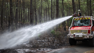 Bordeaux vineyards escaped the immediate wildfires, but repeated heatwaves and nearly two months without sufficient rain are shrinking grapes and accelerating the 2026 harvest