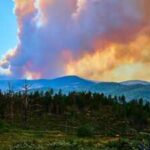Wildfires burned 42,000 hectares and forced 220,000 evacuations near Bordeaux; now France’s wine country fears damage that may only emerge in the bottle