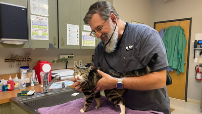 In 2023, an Oregon veterinarian left a $150,000 job to ‘soft retire’; three years later, relief work pays about twice as much
