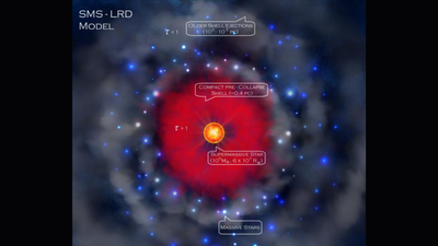 James Webb’s ‘little red dots’ may be 100,000-sun monster stars; their collapse could have seeded the universe’s first giant black holes