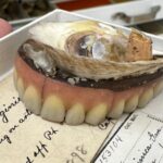 In 1898, Chesapeake Bay was so full of oysters that one grew on a lost set of dentures; today, more than 99% of the historic native population has disappeared
