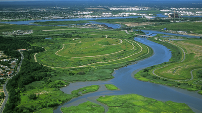 In the 1990s, New York chose wetlands over conventional storm sewers on Staten Island; the Bluebelt strategy saved taxpayers $80 million in infrastructure costs