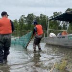 In 2020, engineers pumped 225,000 cubic yards of dredged sediment into the Columbia River; it became four new islands now being studied as salmon habitat