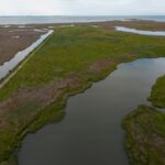A $13.5 million Maryland project turned dredged sand, silt and shell into roughly 70 acres of wetland habitat for threatened marsh birds