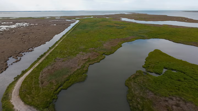 A $13.5 million Maryland project turned dredged sand, silt and shell into roughly 70 acres of wetland habitat for threatened marsh birds