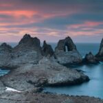 19th-century ships accidentally brought mice to islands 30 miles off San Francisco; they later reached densities of 1,270 per hectare and began reshaping the seabird ecosystem