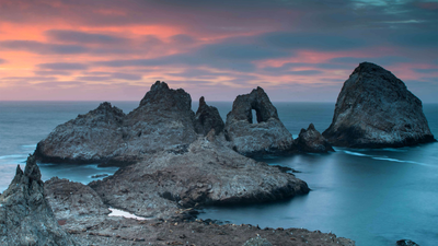 19th-century ships accidentally brought mice to islands 30 miles off San Francisco; they later reached densities of 1,270 per hectare and began reshaping the seabird ecosystem