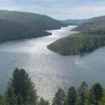 In 1990, Utah used the world’s largest rotenone treatment on Strawberry Reservoir; over 99% of fish biomass vanished and the rebuilt fishery later produced 715,000 catches a year