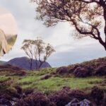 A businessman bought a 23,000-acre Scottish sporting estate and spent two decades rewilding it; one million native trees later, red squirrels have been reintroduced
