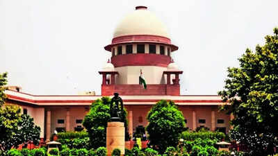 Change in revenue record doesn't create, end property title: SC