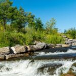 In 2020, Albany brought 1,500 feet of Patroon Creek back above ground after decades in a pipe; three of the next five years saw peak flows exceed the old pipe’s capacity