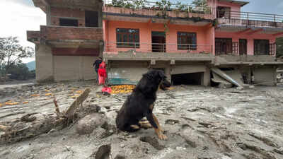 Nepal tragedy: Owners missing, dog refuses to leave flood-hit Trishuli home