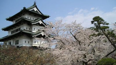 After a decade-long restoration, 1,800 volunteers took turns pulling a 400-ton Japanese castle with ropes; 8,000 people had applied for the chance to help move it