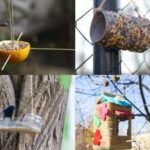<b>DIY: 5 creative bird feeders you can make from things you already have at home</b>