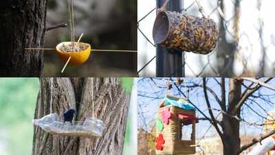 <b>DIY: 5 creative bird feeders you can make from things you already have at home</b>