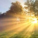 Why morning sunlight is important for your body; here's all you need to know