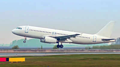 Govt: No policy stops airports from taking airline stakes