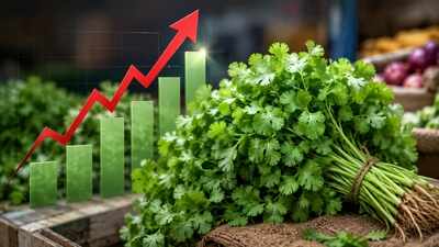 Your humble dhaniya is no longer free! Coriander prices rise above Rs 200 kg as heavy rains disrupt supply